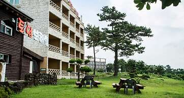 Witch's  broomstick Pension