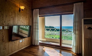 Witch's  broomstick Pension