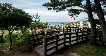 Witch's  broomstick Pension