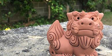 Minnkayado intoparitosura