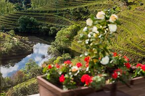 Vila Galé Douro Vineyards