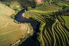 Vila Galé Douro Vineyards