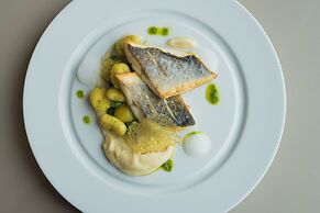 Vila Galé Douro Vineyards