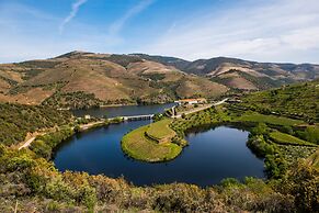 Vila Galé Douro Vineyards
