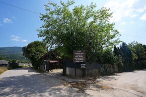 Alex Village Life