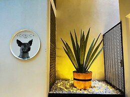 Cadillac Hotel Boutique