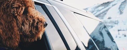 Entrada at Moab Townhomes