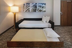 SpringHill Suites by Marriott Dallas Richardson/University Area