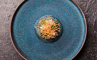 HOTEL THE MITSUI KYOTO, a Luxury Collection Hotel & Spa