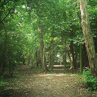 Burton Grange Farmhouse B&B