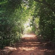 Burton Grange Farmhouse B&B