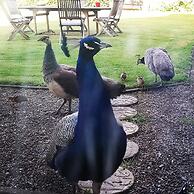 Burton Grange Farmhouse B&B