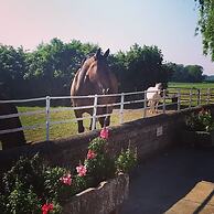 Burton Grange Farmhouse B&B