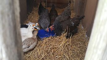 Burton Grange Farmhouse B&B