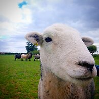 Burton Grange Farmhouse B&B