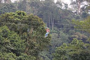 Bosque de Aventura & Glamping El Refugio