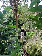 Bosque de Aventura & Glamping El Refugio