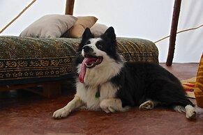 Bosque de Aventura & Glamping El Refugio