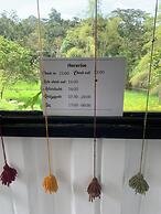 Bosque de Aventura & Glamping El Refugio