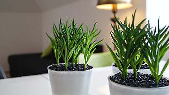 Modern Apartment in The Heart of Vienna 3