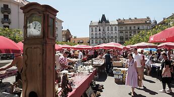 Mint Boutique Studio Apartments