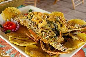 Hotel Viña del Mar Omoa