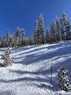 Alders 46 Outpost Dr