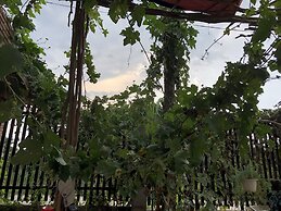 Bau Bi Mini Farmstay Mekong - Tien Giang