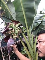 Bau Bi Mini Farmstay Mekong - Tien Giang