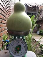 Bau Bi Mini Farmstay Mekong - Tien Giang