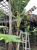 Bau Bi Mini Farmstay Mekong - Tien Giang