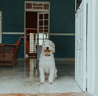 Hospedaje Casa Lool Beh Merida