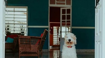 Hospedaje Casa Lool Beh Merida