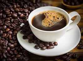 Paloma Guest House & Restaurant