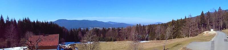 Pension Haus Waldesruh