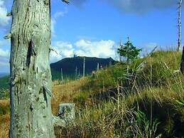 Pension Haus Waldesruh