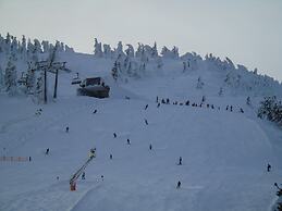 Pension Haus Waldesruh