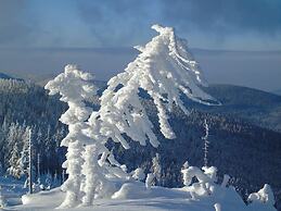 Pension Haus Waldesruh