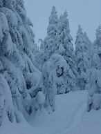 Pension Haus Waldesruh