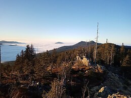 Pension Haus Waldesruh