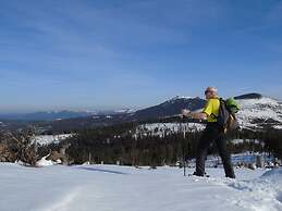 Pension Haus Waldesruh