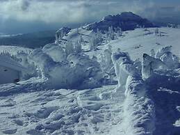 Pension Haus Waldesruh