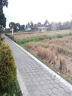 Anggun Homestay - Hostel