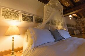 Cotommatae Hydra 1810