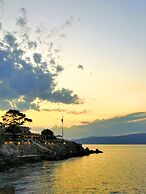 Cotommatae Hydra 1810