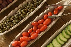 Cotommatae Hydra 1810