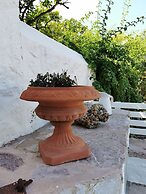 Cotommatae Hydra 1810