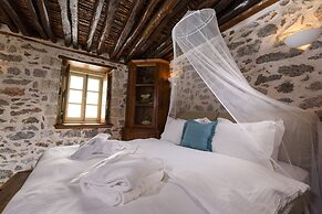 Cotommatae Hydra 1810