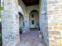 Cotommatae Hydra 1810