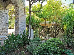 Cotommatae Hydra 1810